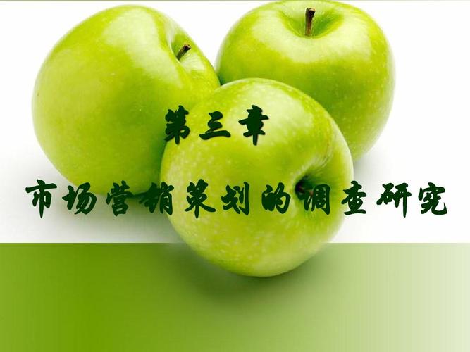 市场营销策划的调查研究ppt